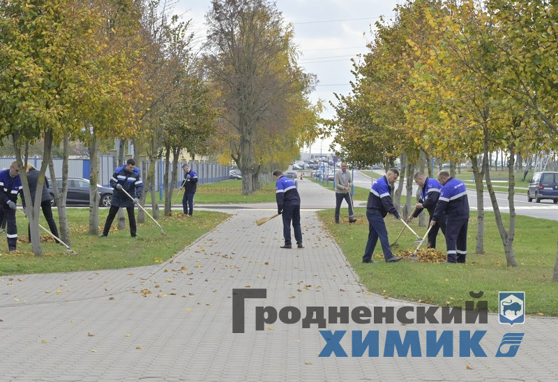 4566768798090 (13).jpg